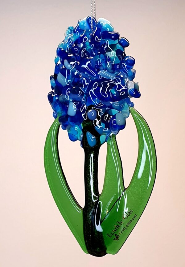 Hyacint til ophæng - blå